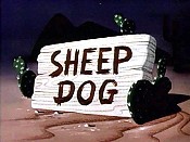 Sheep Dog Pictures To Cartoon