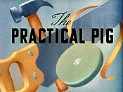 The Practical Pig Pictures To Cartoon