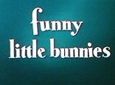 Funny Little Bunnies Pictures To Cartoon
