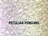 Peculiar Penguins Pictures To Cartoon