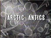 Arctic Antics Pictures To Cartoon