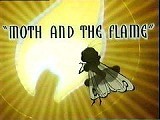 Moth And The Flame Pictures To Cartoon