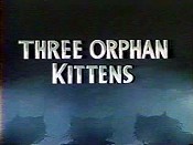 Three Orphan Kittens Pictures To Cartoon