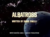 Albatross Picture Of The Cartoon