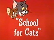 School For Cats Pictures Of Cartoons