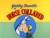 Horse Collared Cartoon Funny Pictures