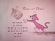 Bird Brained Cat Pictures Cartoons