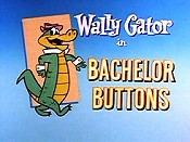 Bachelor Buttons Picture Of The Cartoon