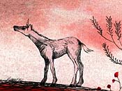 Sangre de Unicornio Picture Of Cartoon