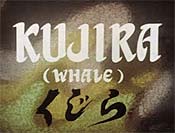 Kujira (Whale) Picture Into Cartoon