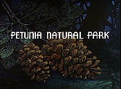 Petunia Natural Park The Cartoon Pictures