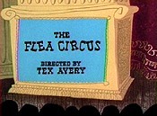 The Flea Circus Pictures Of Cartoons