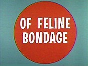 Of Feline Bondage Cartoon Picture