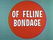 Of Feline Bondage Pictures In Cartoon