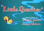 Little Quacker Picture Of Cartoon