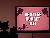 Shutter Bugged Cat Pictures In Cartoon