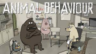 Animal Behaviour Picture Of Cartoon