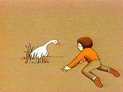 The Boy And The Snow Goose Free Cartoon Picture