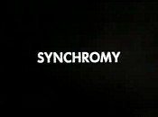 Synchromy Picture Into Cartoon