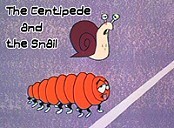The Centipede and the Snail Picture Of The Cartoon