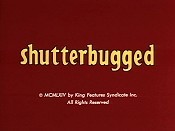 Shutterbugged Cartoon Pictures