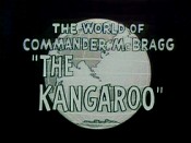 The Kangaroo Pictures Cartoons