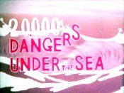 20,000 Dangers Under The Sea Cartoon Funny Pictures