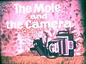 Krtek Fotografem (The Mole As A Photographer) Picture Into Cartoon