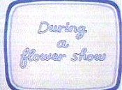 During A Flower Show Cartoon Pictures