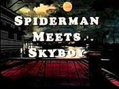 Spiderman Meets Skyboy Cartoon Picture