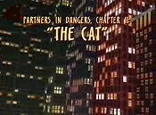 Partners In Dangers, Chapter II: The Cat Cartoon Funny Pictures