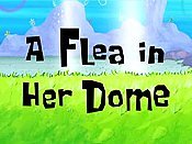 A Flea In Her Dome Picture Of Cartoon