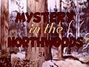 Mystery In The Northwoods Cartoon Pictures