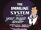 The Immune System: Your Magic Doctor Pictures In Cartoon