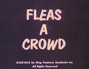 Fleas A Crowd Pictures Cartoons