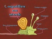 Coquilles En Stock (Oggy Goes Snailing) Picture Of Cartoon