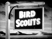 Bird Scouts Picture Of Cartoon