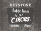 Bobby Bumps at The Circus Cartoon Picture