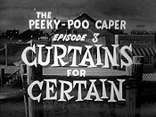 Curtains For Certain Pictures In Cartoon