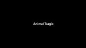 Animal Tragic Picture Into Cartoon