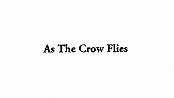 As The Crow Flies Picture Into Cartoon