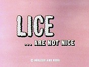 Lice Are Not Nice Pictures Cartoons