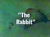 The Rabbit Cartoon Picture