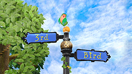 3rd & Bird Episode Guide Logo