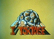 I Tortoise Pictures To Cartoon