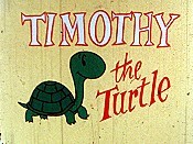 Timothy The Turtle Cartoon Character Picture