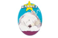 Barney Episode Guide Logo