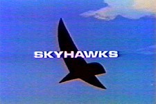 Sky Hawks Episode Guide Logo