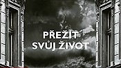 Prezt Svuj Zivot (Teorie A Praxe) (Surviving Life) Picture Of The Cartoon
