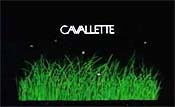 Cavallette (Grasshoppers) Picture To Cartoon